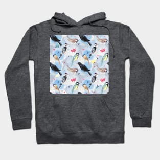 Winter birds Hoodie